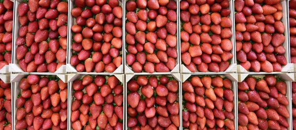 Çilek - Sputnik Türkiye