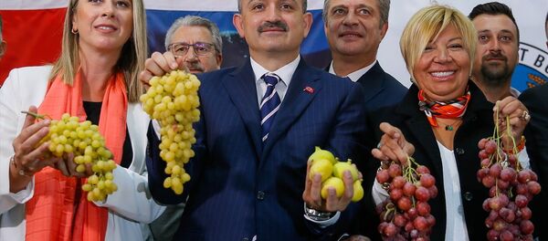 Tarım ve Orman Bakanı Bekir Pakdemirli - Sputnik Türkiye