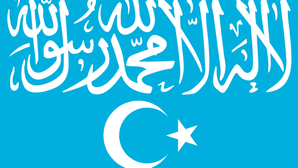 Türkistan İslami Partisi bayrağı - Sputnik Türkiye