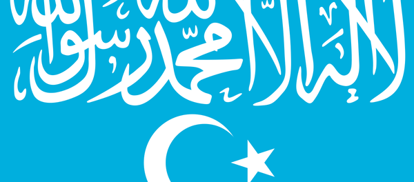 Türkistan İslami Partisi bayrağı - Sputnik Türkiye