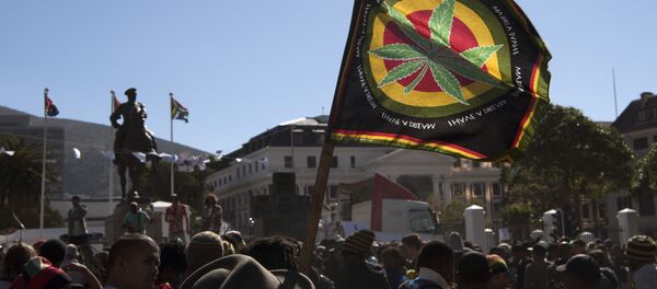 Cape Town'daki Güney Afrika Parlamentosu önünde esrarın yasallaştırılması için gösteri yapan eylemciler - Sputnik Türkiye
