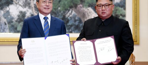 Kuzey Kore- Güney Kore - Sputnik Türkiye