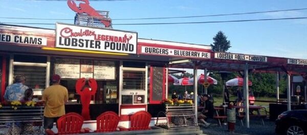 Pişirmeden önce ıstakozlara marihuana içiriyorlar: Bu yol daha insani - Sputnik Türkiye