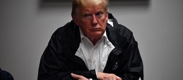 ABD Başkanı Donald Trump ABD Başkanı Donald Trump - Sputnik Türkiye