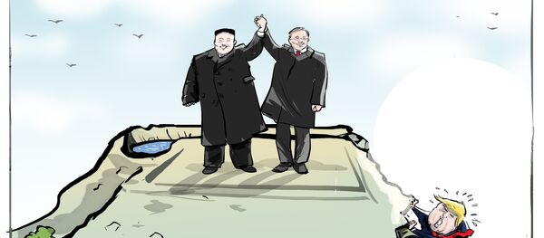 Karikatür - Sputnik Türkiye