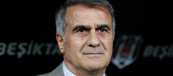 Şenol Güneş - Sputnik Türkiye