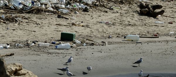 Katı atıklar - Sputnik Türkiye