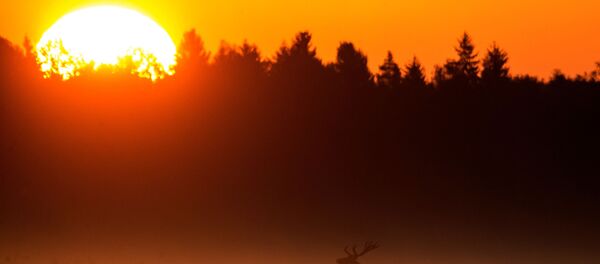 Belarus'ta sonbahar - Sputnik Türkiye