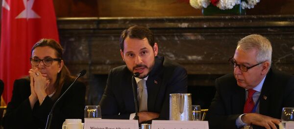 Berat Albayrak - Sputnik Türkiye