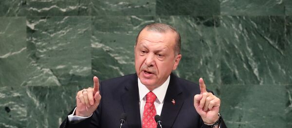 Recep Tayyip Erdoğan 73. BM Genel Kurulu'nda konuştu. - Sputnik Türkiye