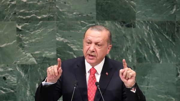 Recep Tayyip Erdoğan 73. BM Genel Kurulu'nda konuştu. - Sputnik Türkiye