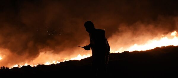 Bodrum makilik orman yangını - Sputnik Türkiye