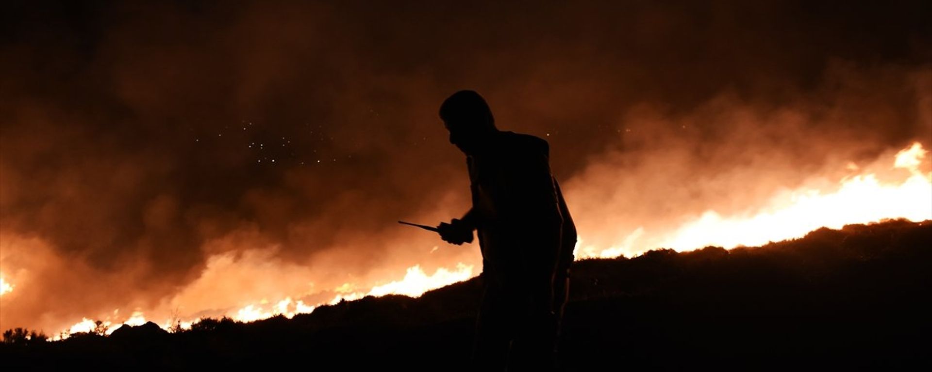 Bodrum makilik orman yangını - Sputnik Türkiye, 1920, 26.08.2026