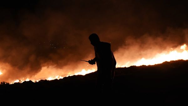 Bodrum makilik orman yangını - Sputnik Türkiye