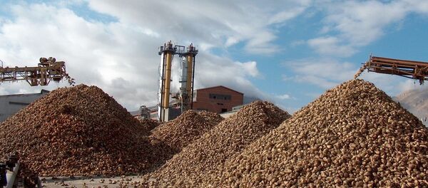 Bor Şeker Fabrikası - Sputnik Türkiye