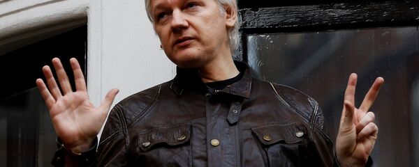 WikiLeaks'in kurucusu Julian Assange - Sputnik Türkiye