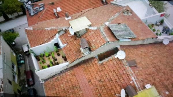 Evinin terasını uyuşturucu bahçesi yapan şahıs gözaltına alındı - Sputnik Türkiye