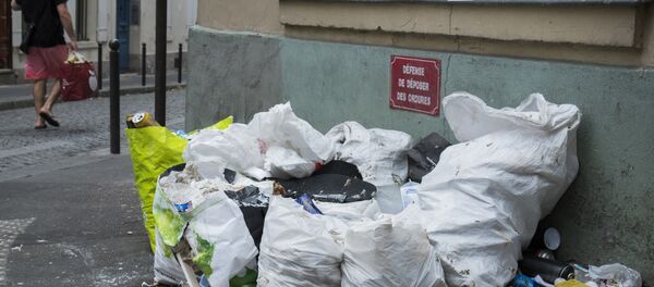 Çöp - Sputnik Türkiye