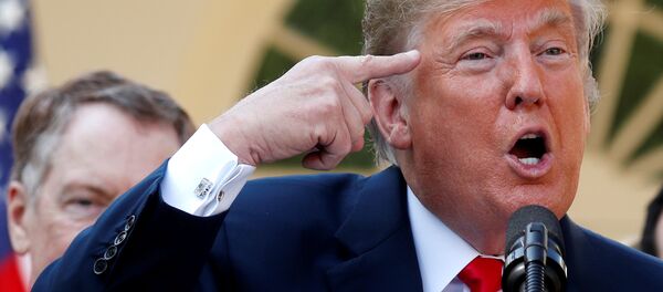 Donald Trump, Beyaz Saray'daki Gül Bahçesi'nde basın toplantısı düzenledi. - Sputnik Türkiye