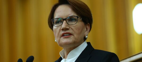 Meral Akşener - Sputnik Türkiye