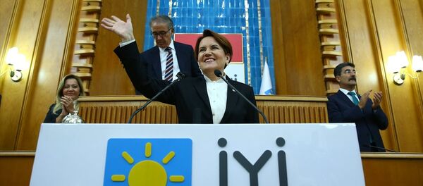 Meral Akşener - Sputnik Türkiye