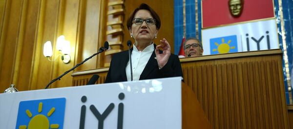 Meral Akşener - Sputnik Türkiye