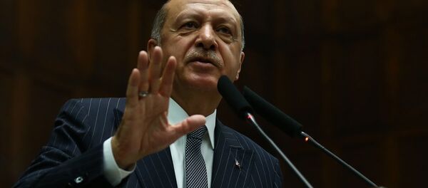 Recep Tayyip Erdoğan - Sputnik Türkiye
