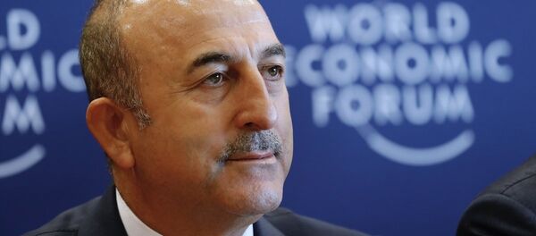 Mevlüt Çavuşoğlu - Sputnik Türkiye