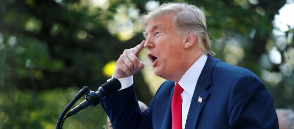 Donald Trump - Sputnik Türkiye