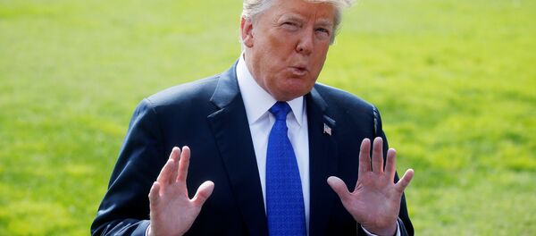 ABD Başkanı Donald Trump - Sputnik Türkiye