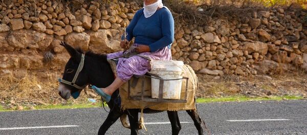 Diyarbakır ve Mardin köylerinde bağbozumu - Sputnik Türkiye