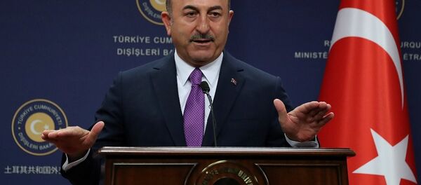Mevlüt Çavuşoğlu - Sputnik Türkiye