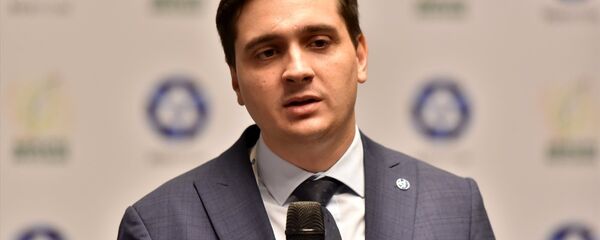 Akkuyu Nükleer Güç Santrali (NGS) AŞ Yönetim Kurulu Başkan Yardımcısı Anton Dedusenko - Sputnik Türkiye