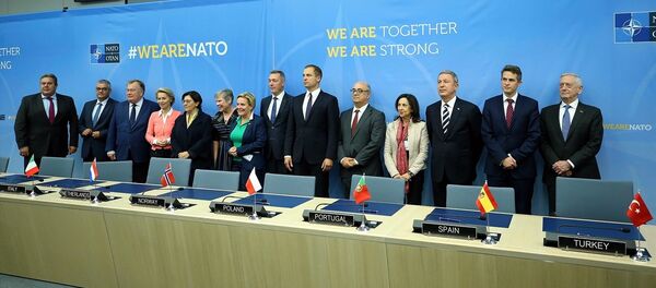 NATO Savunma Bakanları Toplantısı - Sputnik Türkiye
