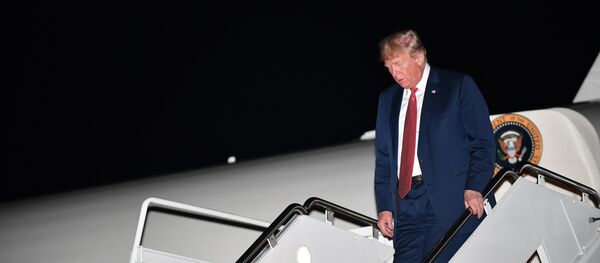 ABD Başkanı Donald Trump - Sputnik Türkiye
