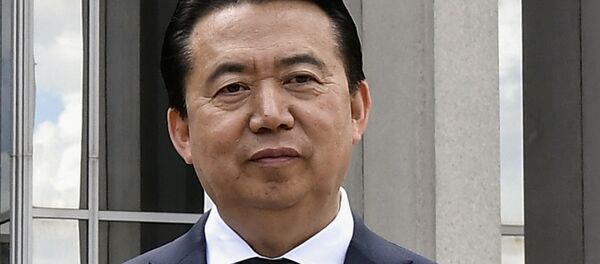 Interpol Başkanı Meng Hongwei - Sputnik Türkiye