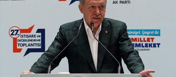 Cumhurbaşkanı Recep Tayyip Erdoğan - Sputnik Türkiye