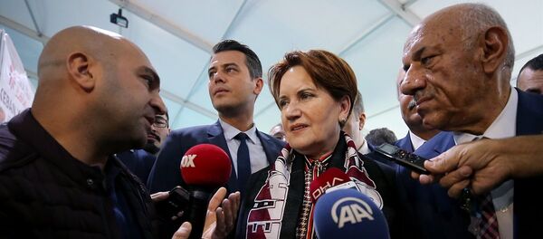 Meral Akşener - Sputnik Türkiye