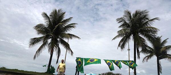 Brezilya - seçim - Sputnik Türkiye