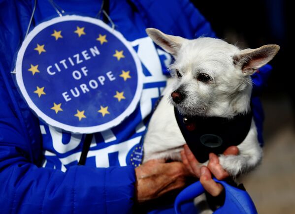 'Havhavarandum' organizatörleri AB'den ayrılmanın veteriner sayısında azalışa, seyahat olanaklarını kısıtlayacağına ve köpek mamalarının fiyatında yükselişe neden olacağını ve bu nedenle de hayvan dostlarının Brexit'ten olumsuz etkileneceğini savunuyor. - Sputnik Türkiye