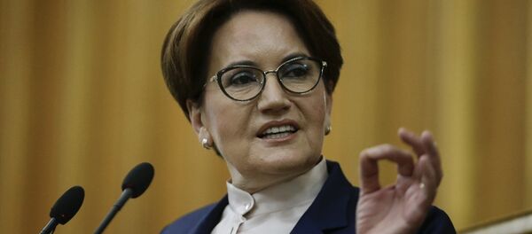 Meral Akşener - Sputnik Türkiye