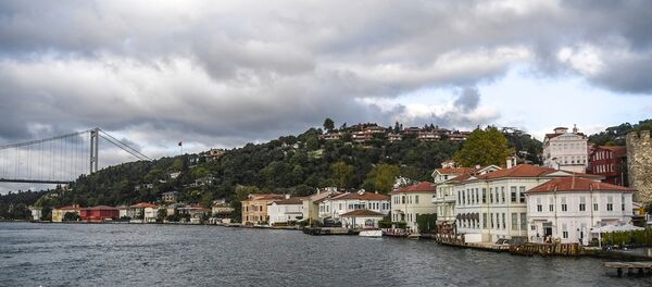 İstanbul Boğazı - Sputnik Türkiye