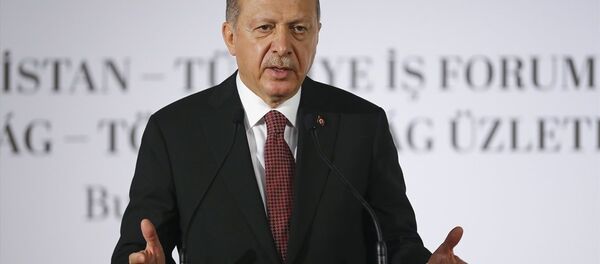 Recep Tayyip Erdoğan - Sputnik Türkiye