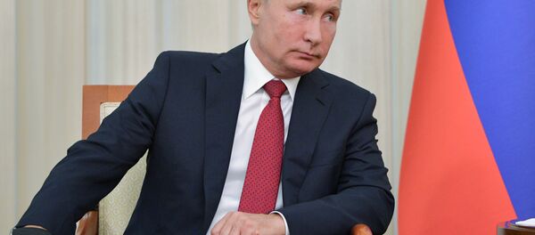 Rusya Devlet Başkanı Vladimir Putin - Sputnik Türkiye