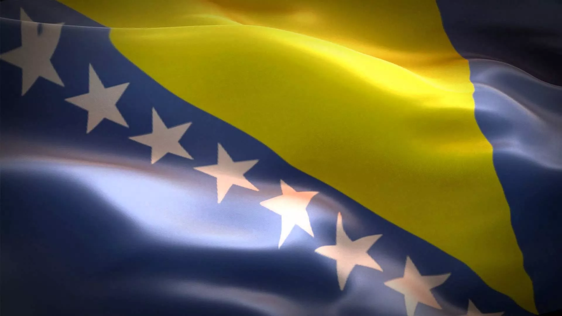Bosna Hersek bayrağı