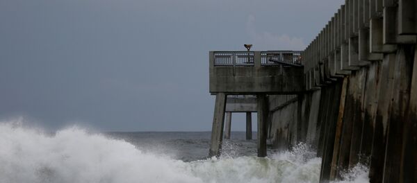 Michael Kasırgası Michael Kasırgası - Sputnik Türkiye