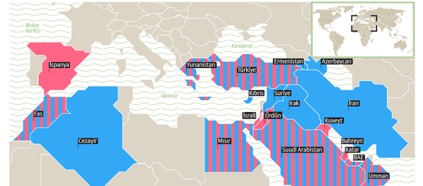 İnfografik - Sputnik Türkiye