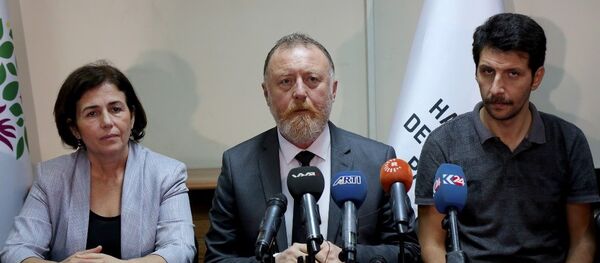 HDP Eş Genel Başkanı Sezai Temelli - Sputnik Türkiye