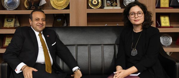 Avrupa Birliği ve Devlet Eski Bakanı Egemen Bağış'ın Sputnik röportajı - Sputnik Türkiye