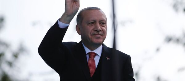 Recep Tayyip Erdoğan - Sputnik Türkiye